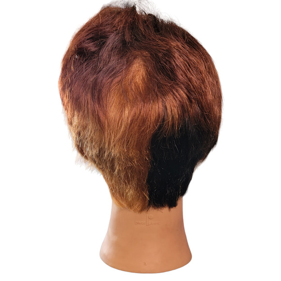 Mannequin Head Hairdressing Cosmetology 100% Human Hair Practice Training Doll - Picture 2 of 7